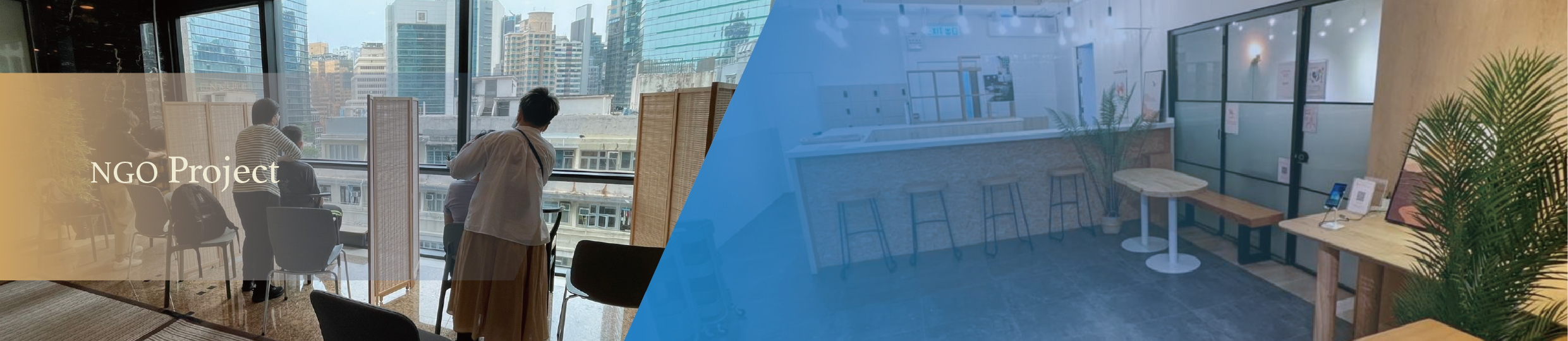 NGO Project